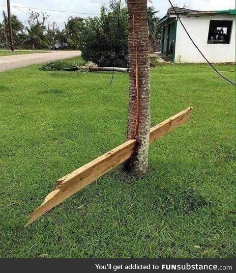 Ever wonder how powerful Hurricane winds are? (Hurricane Michael)