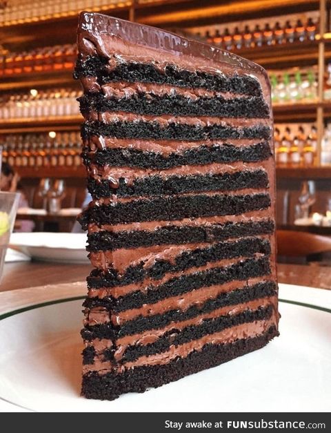 24 layer chocolate cake in all its glory