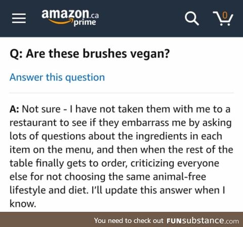 Vegan makeup brushes