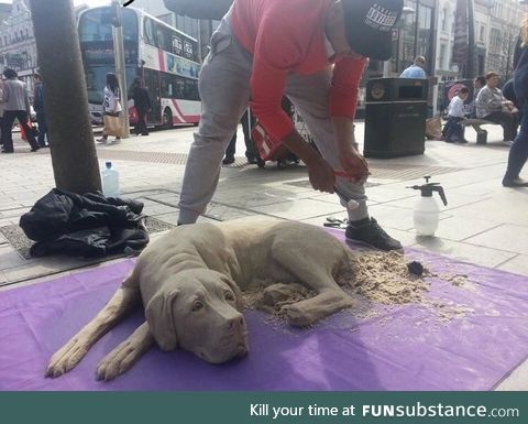 This dog made out of sand