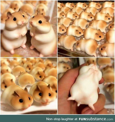 Hamster bread