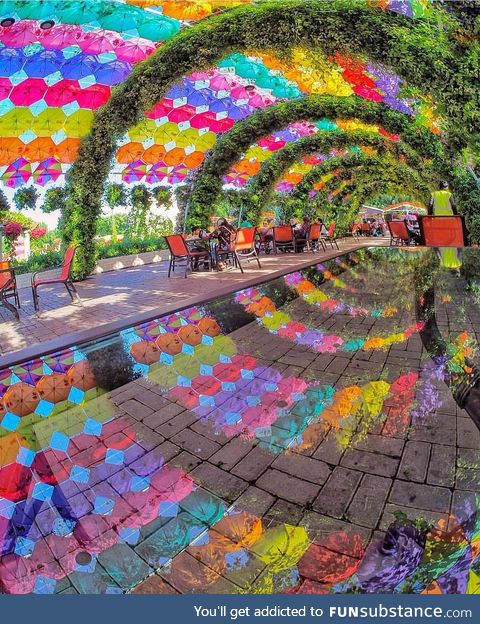 Reflections in Dubai Miracle Garden