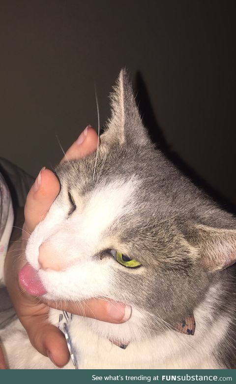 Blep