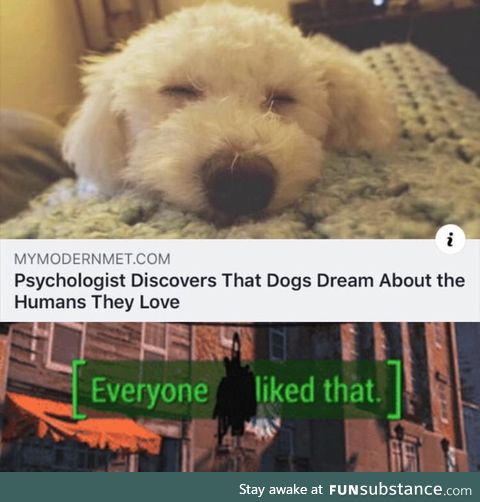 We dont deserve dogs