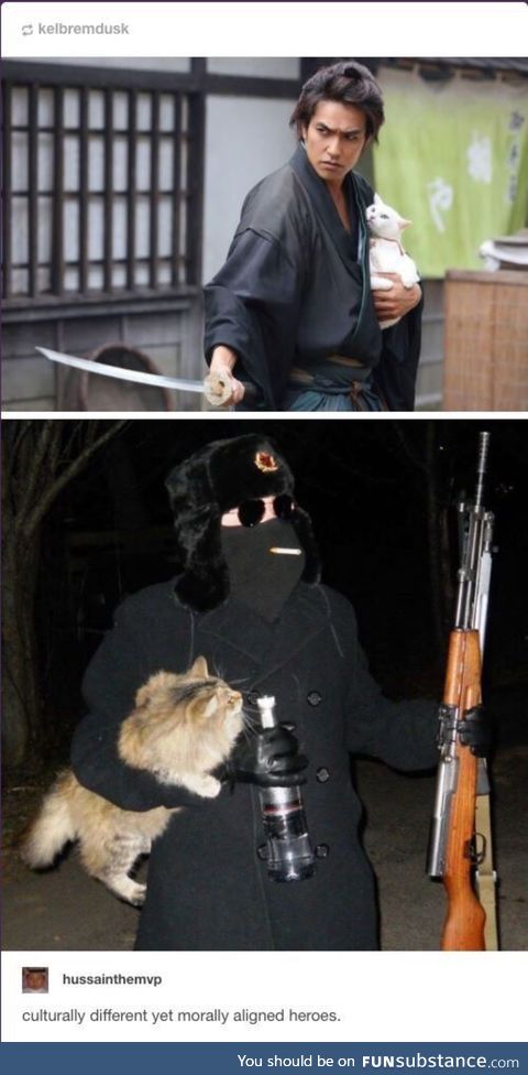 товарищ кот yeah