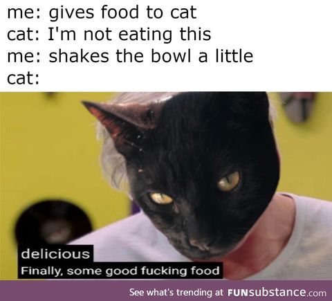 *shakes bowl*