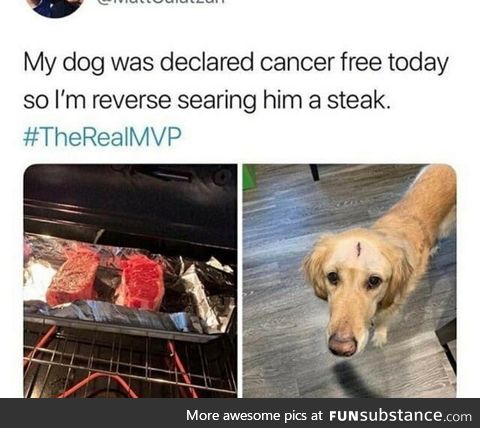 Good boy gets a good meal