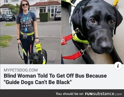 Rosa Barks begins the Montgomery bus boycott (1955, colorized)