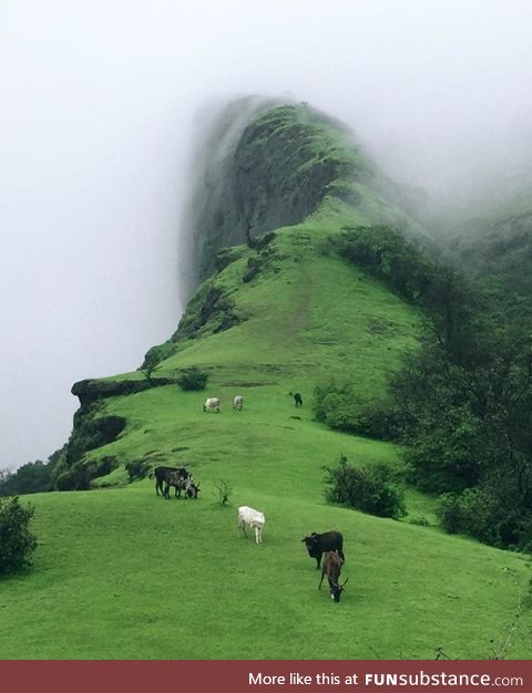 Way to heaven . Duke's Nose Lonavala Mumbai, India