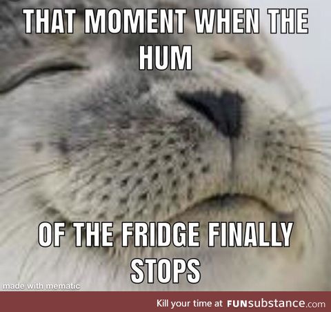 This is especially true when you’re living in a small apartment or your fridge is loud