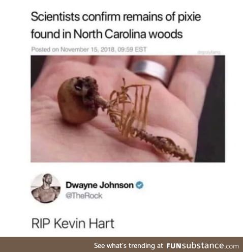 Poor kevin hart