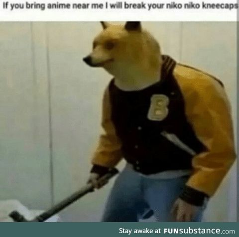 Doge has had enough