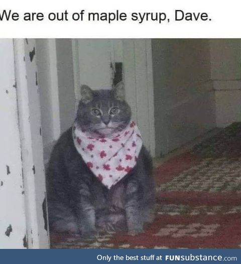 Bring it to me Dave