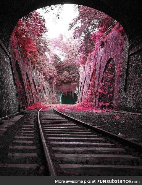 Le petite ceinture, paris, france