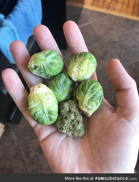 Been on a huge brussels sprouts kick lately