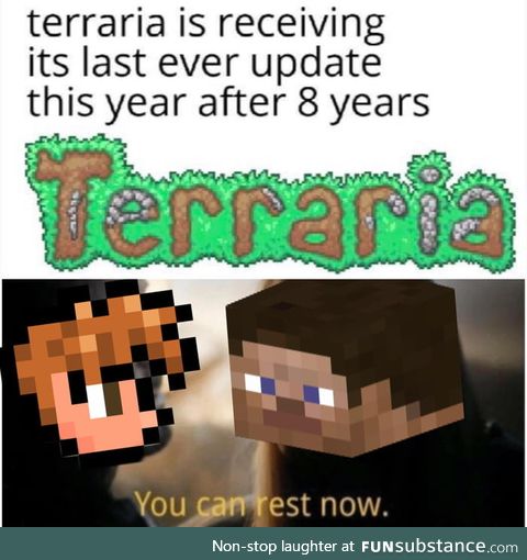 We love you 3000 Terraria