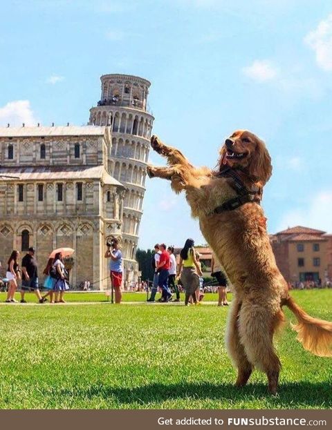 Leaning Tower of Goodboi