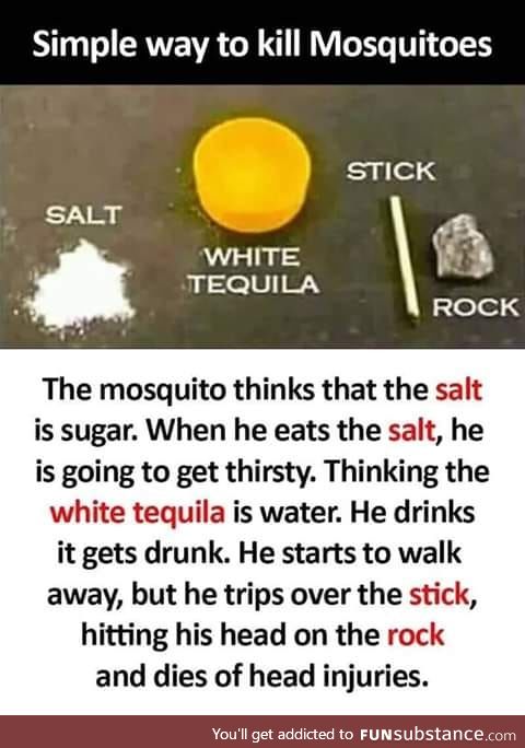 How to kill mosquitoes