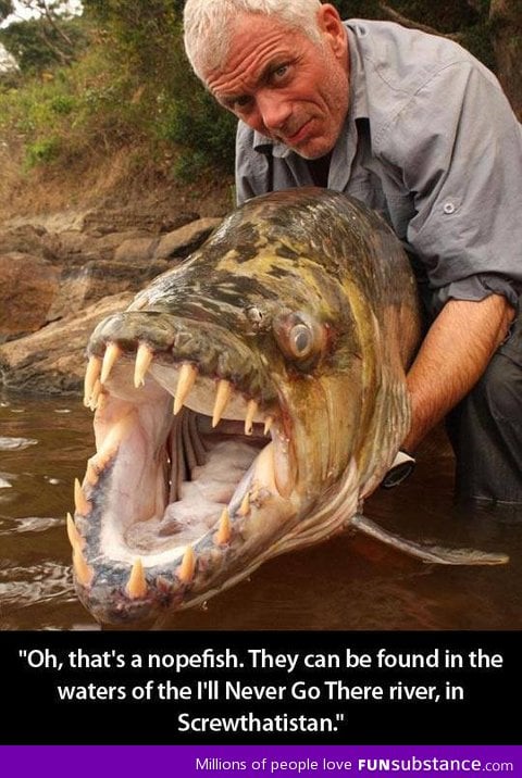 Monster Fish