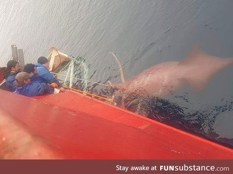 Taken from a fishing boat in Antartica