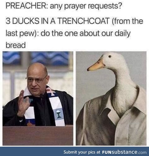 The ducks are sacrilegious, lately