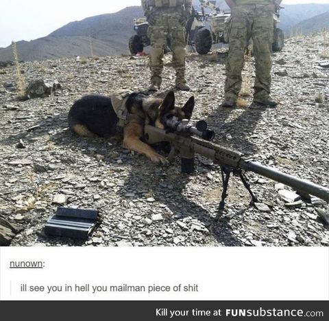 Army doggo