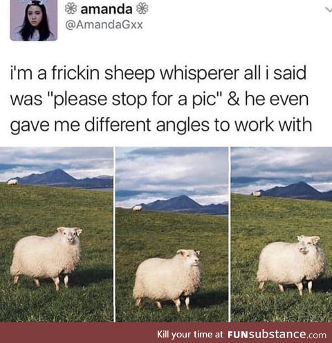 The sheep whisperer