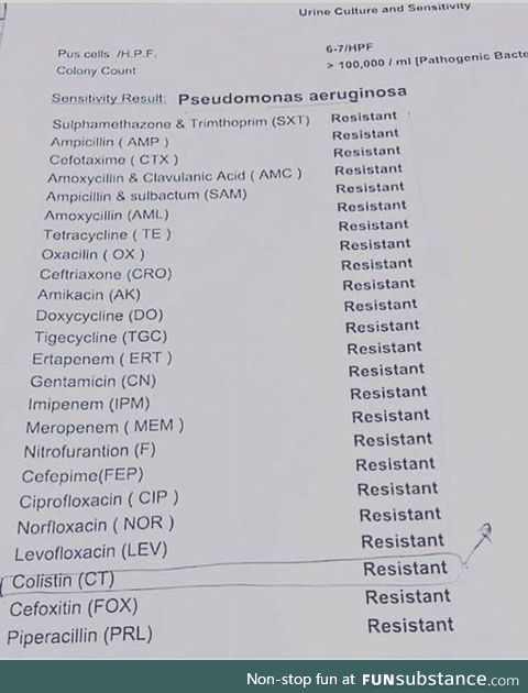 A strain of the bacterium Pseudomonas aeruginosa that became resistant to all man-made