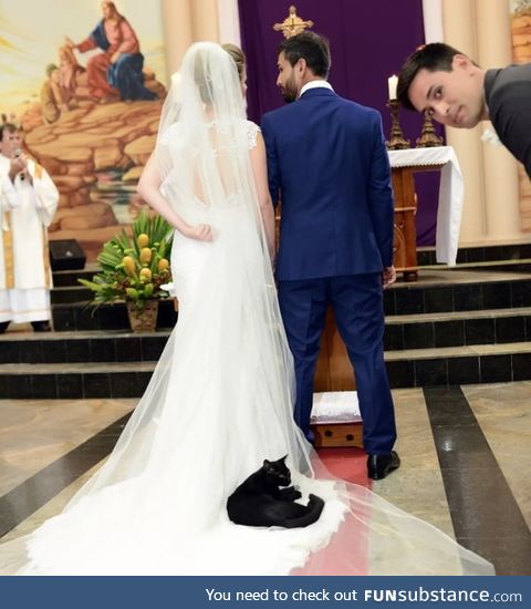 Black kitty wedding crasher, who's known to wander around the church, decides to lay