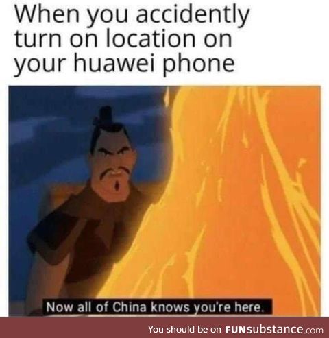 Can we make more mulan memes?