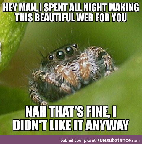 Be nice with spiders