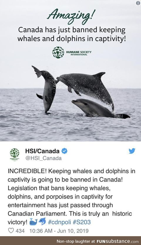 Canada just passed the "Free Willy" bill, making it illegal to keep dolphins