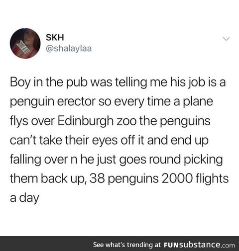 Edinburgh is just an other world