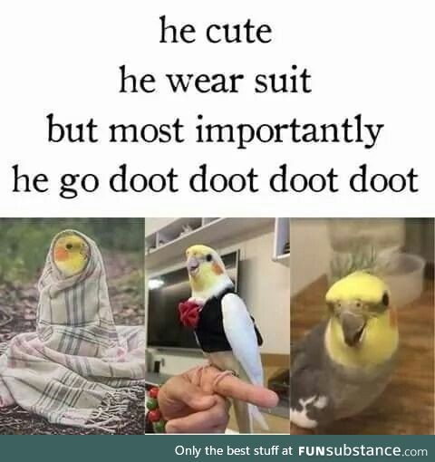 Doot that thing!