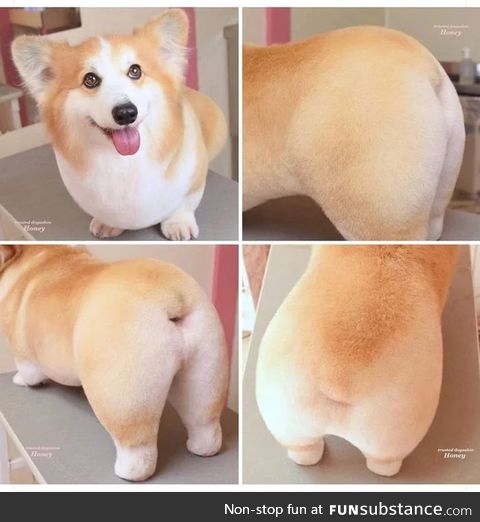 Lemme show you a thicc ass