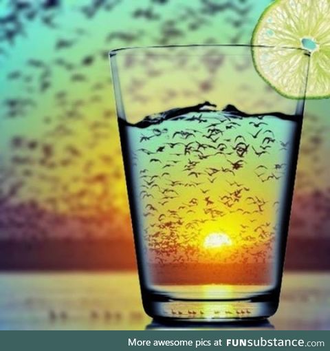 This glass with birds