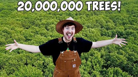 Trees are nice. Donate plz.