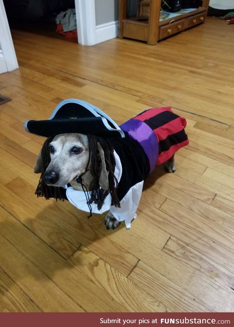 Captain Gus Sparrow