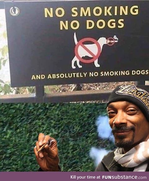 Can’t stop the Dogg