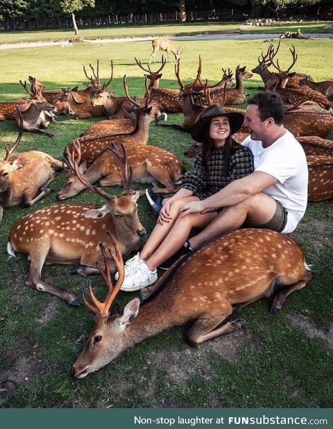 Nara, japan