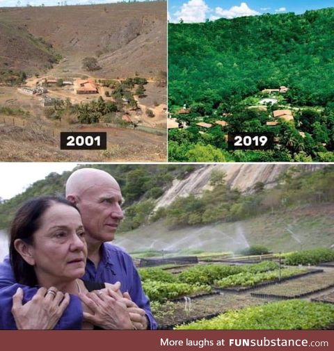 This couple planted over 2million trees to regrow a forest in 20years