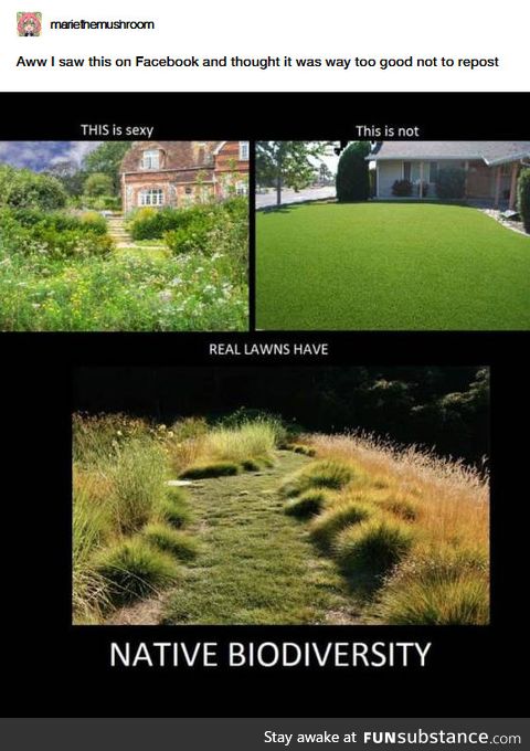 Stop mowing your lawn, basically...?