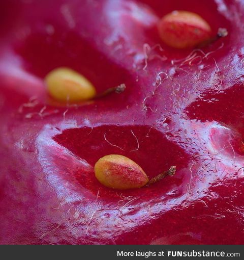 Surface of a strawberry