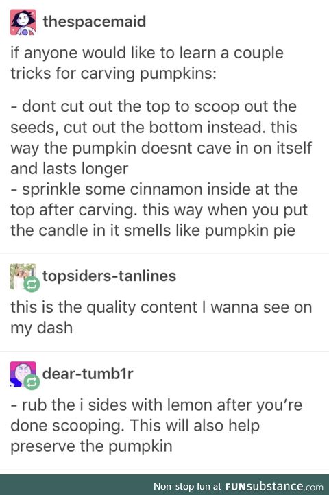 Punkin life hacks