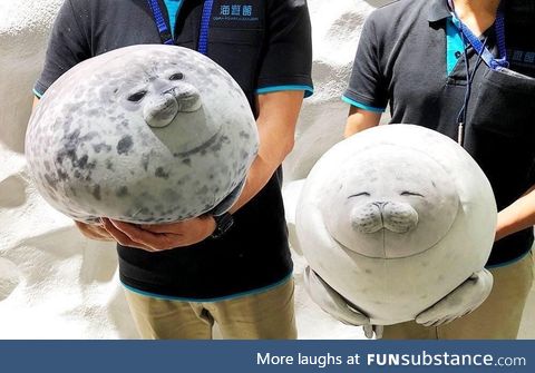 Stuffed animal Seals are a sight to behold