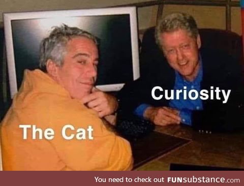 Curiosity killed the cat