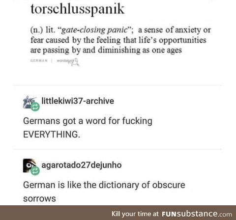 Torschlusspanik