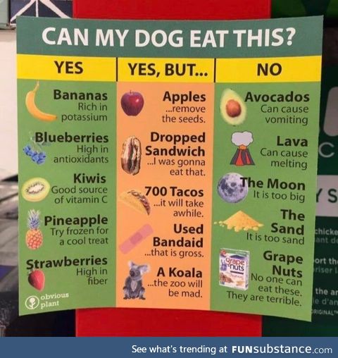 Helpful food chart for dogs