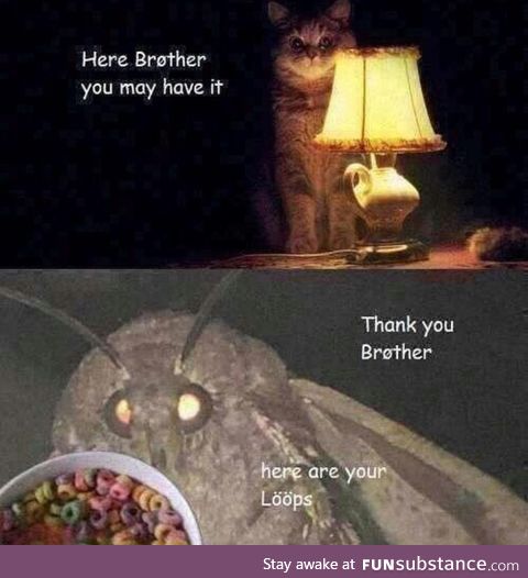 A lamp for some loops, brother?