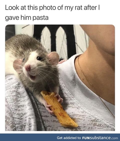 He's so happy to have pasta